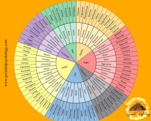 emotions wheel for teens